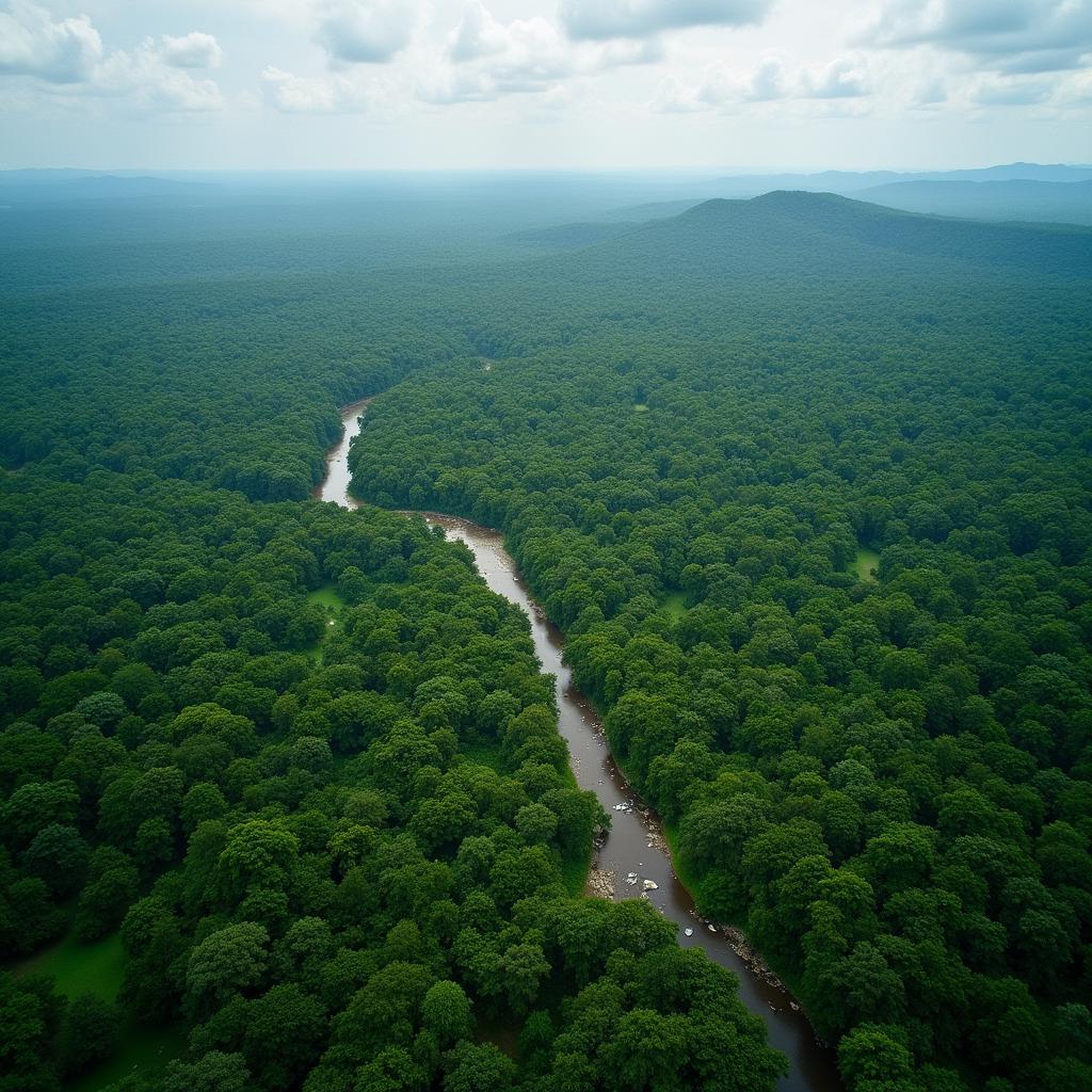 Aerial view of the Amazon rainforest showing vast greenery and a river snaking through