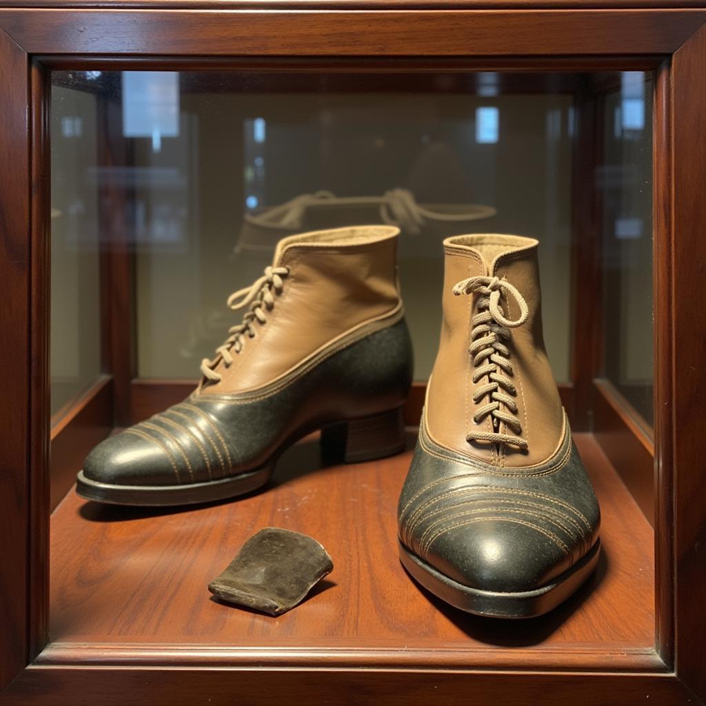 Antique Spats Displayed in a Glass Case