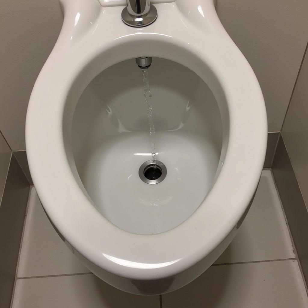 Bồn tiểu nam hydraulic urinal