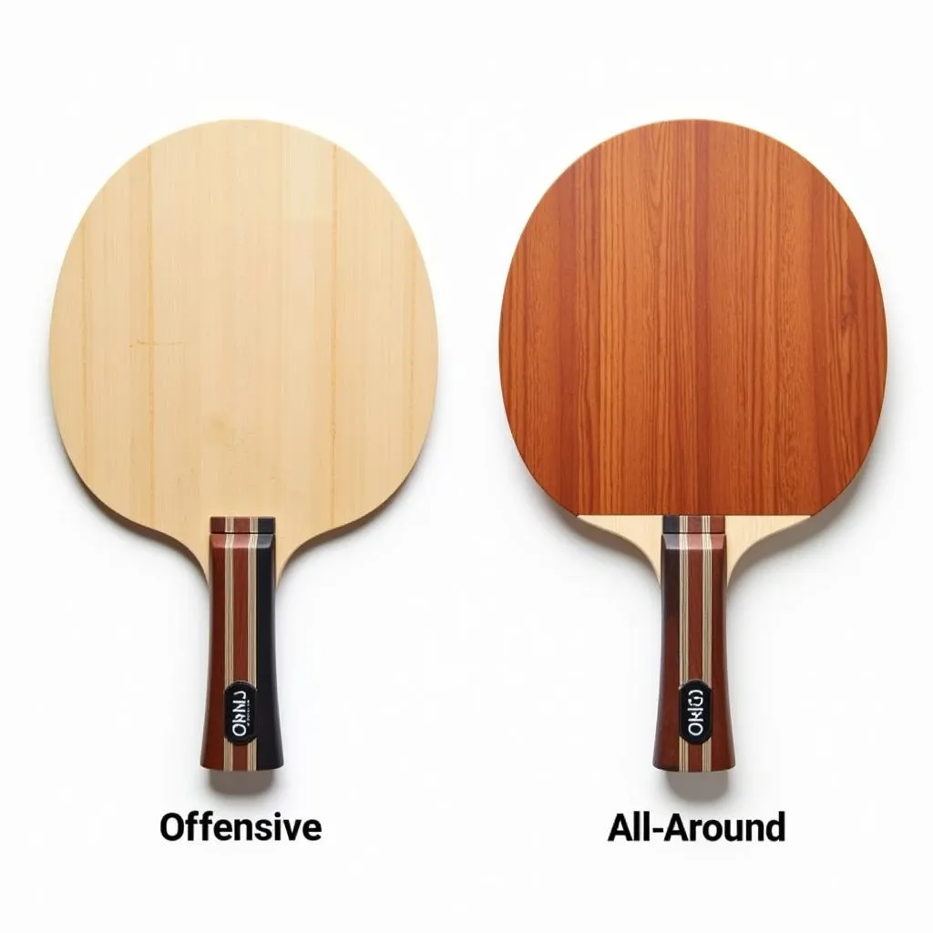 Comparing Table Tennis Blades