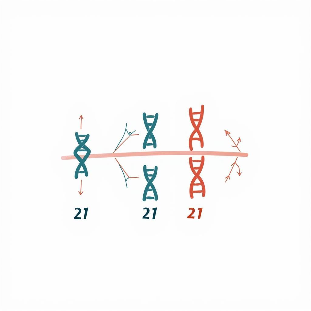 A visual representation of Down syndrome as a genetic condition