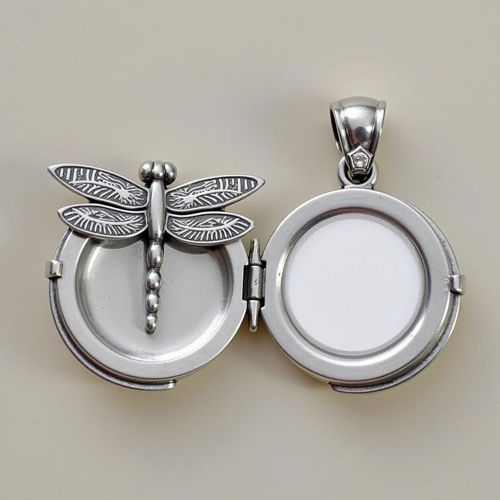 Silver Dragonfly Locket