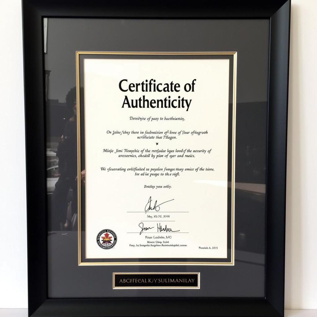 Certificate of Authenticity for a Jimi Hendrix Autograph