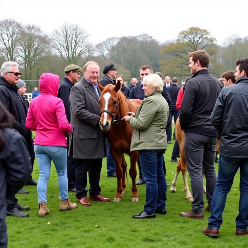 Connecting with Fellow Welsh Mountain Pony Enthusiasts