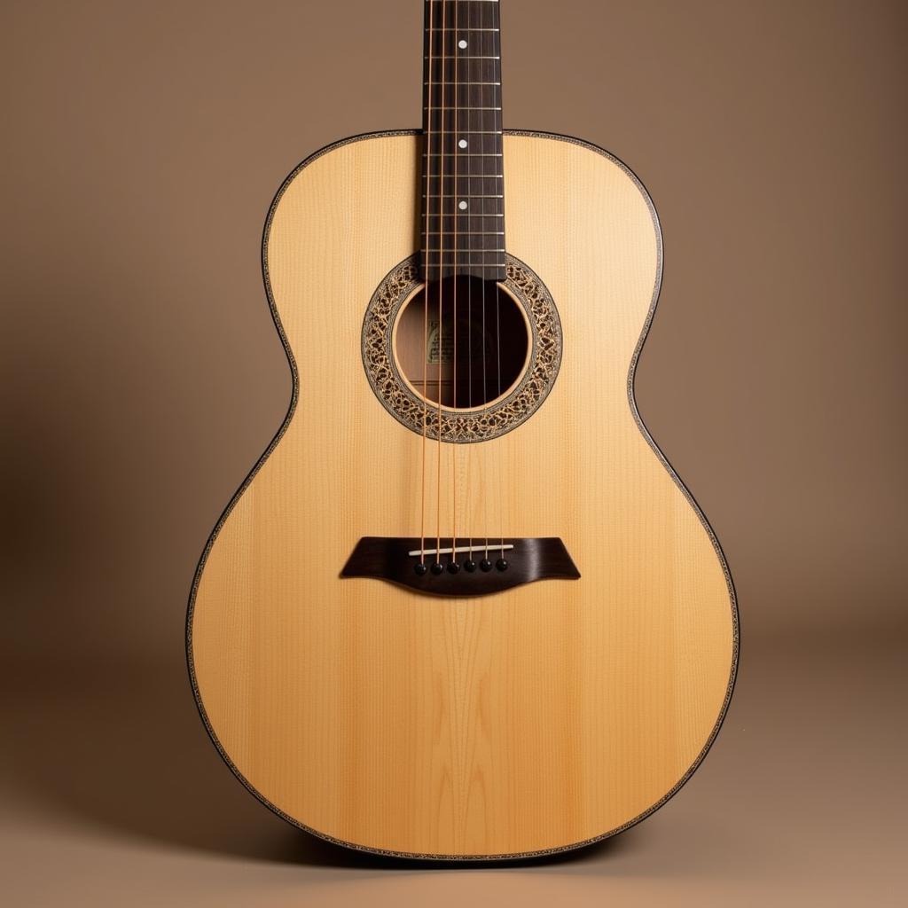 Martin N20 Guitar Front View