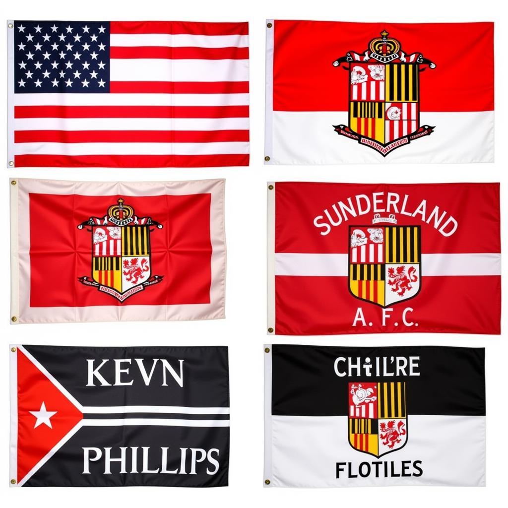 Famous Sunderland Flag Designs