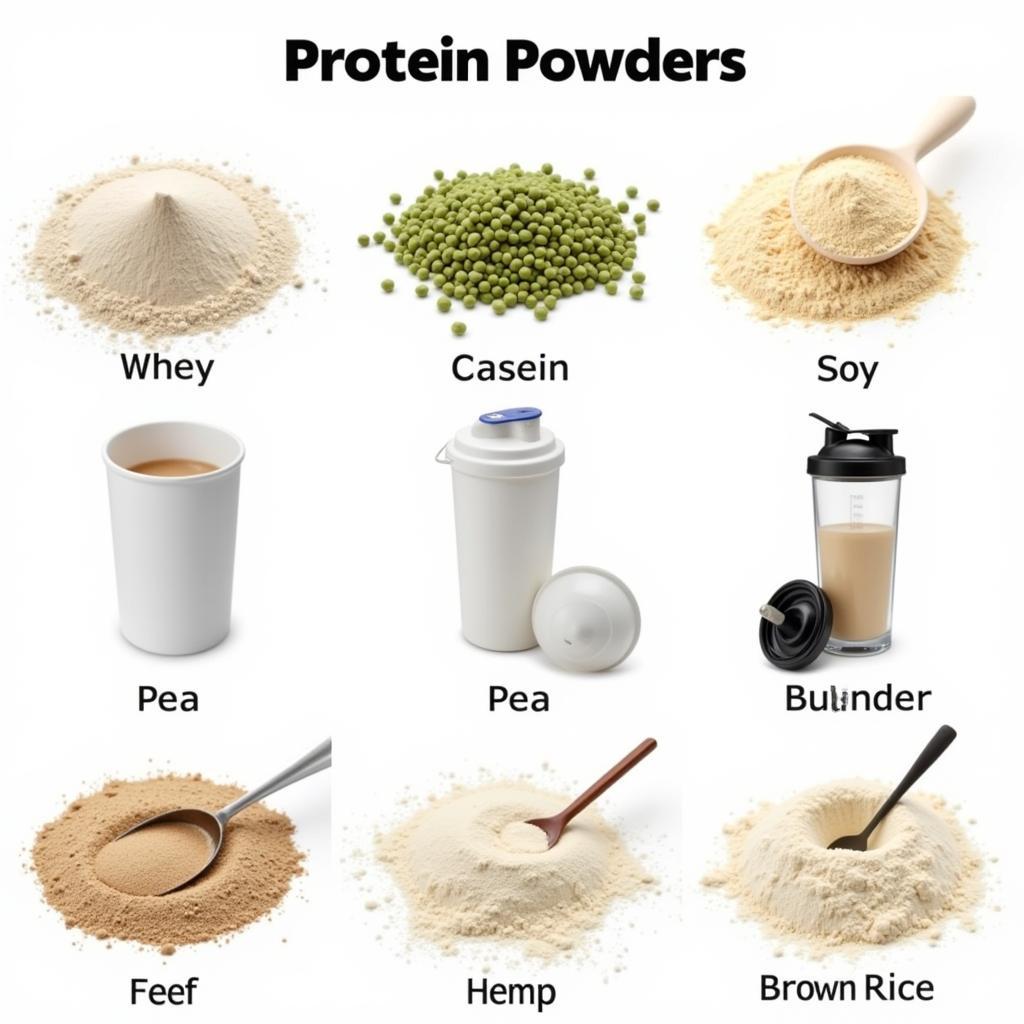 Các loại bột protein và kỹ thuật pha