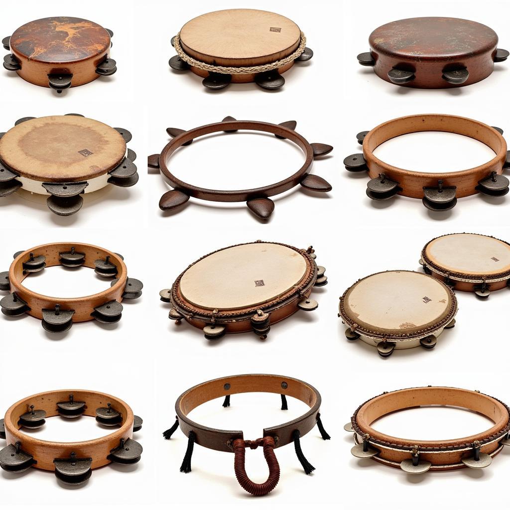 Tambourine Đa Dạng