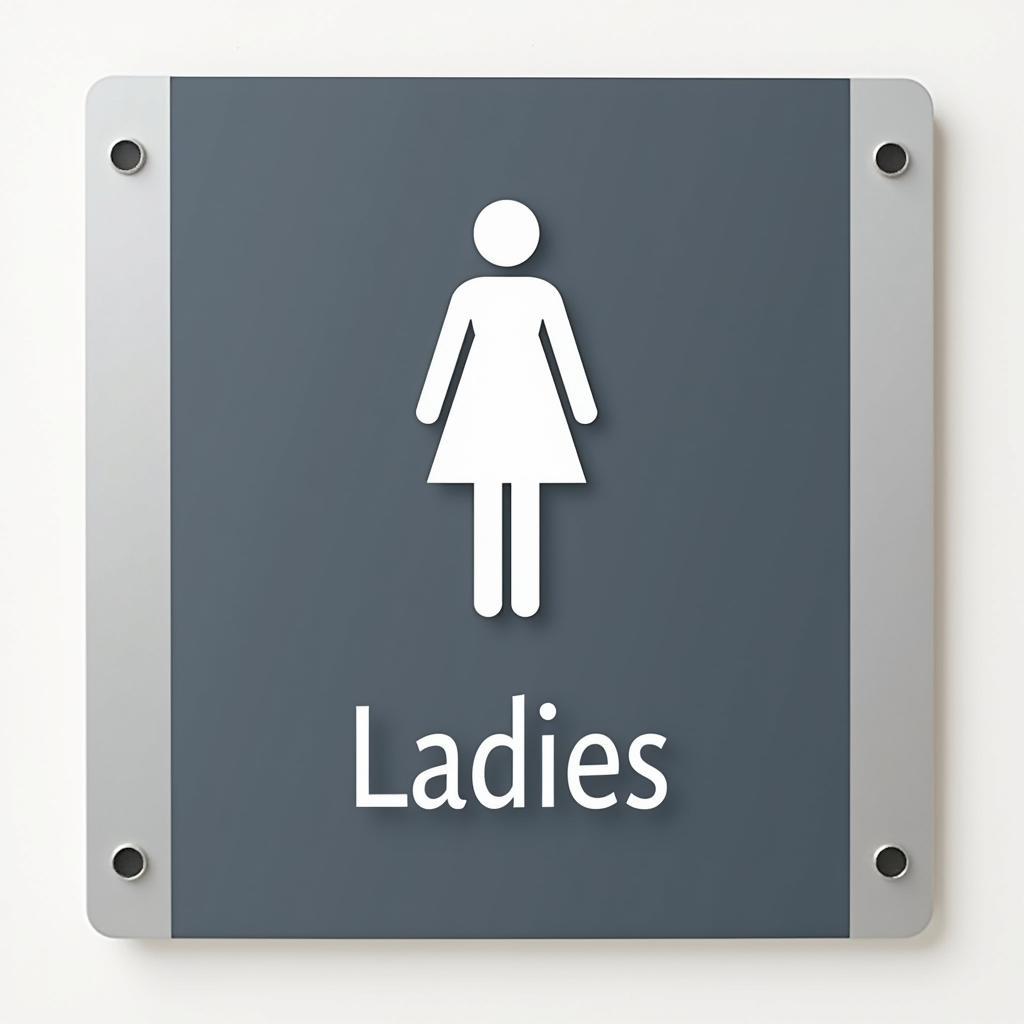 Modern Ladies Toilet Sign Design