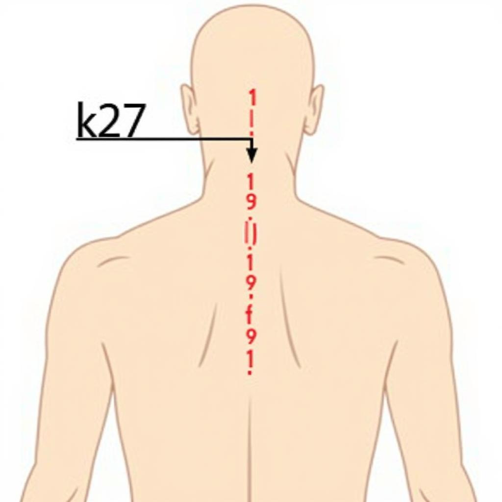 sơ đồ huyệt vị k27 và các huyệt lân cận