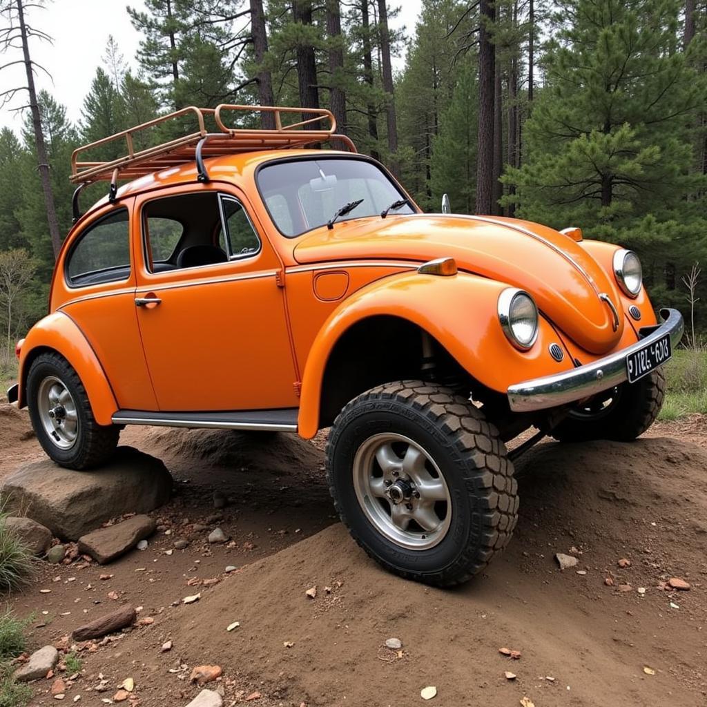 Xe VW Bug Độ Long Travel Vượt Địa Hình