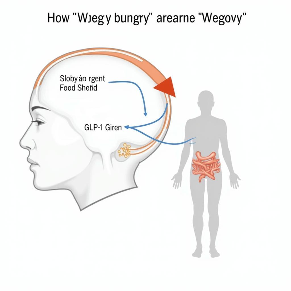 Wegovy Mechanism of Action