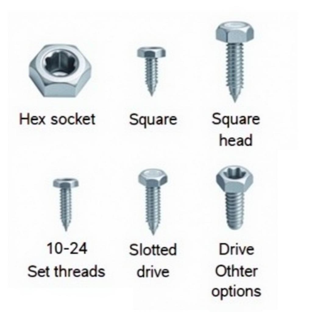 Various types of 10-24 set screws