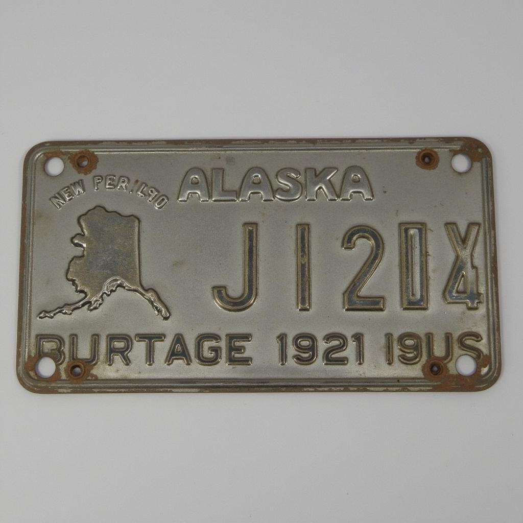 Alaska 1921 License Plate Example