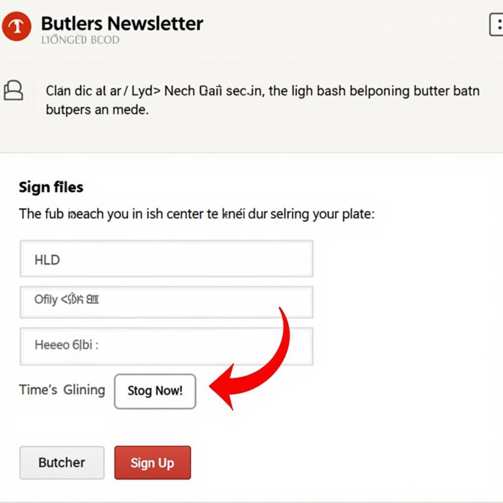 Đăng ký nhận Butlers Newsletter Đội Bóng Đá