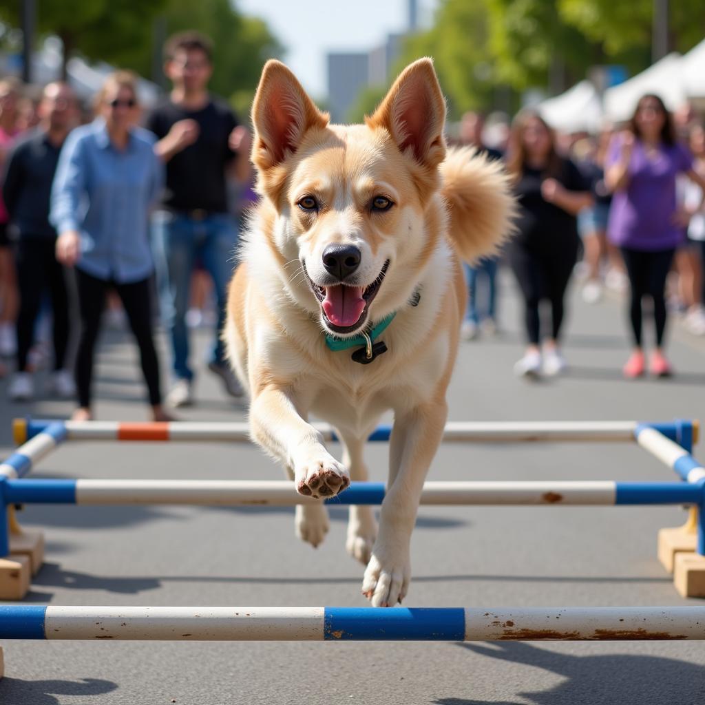 JP Dog Parade 2023: Dog Agility Demonstration