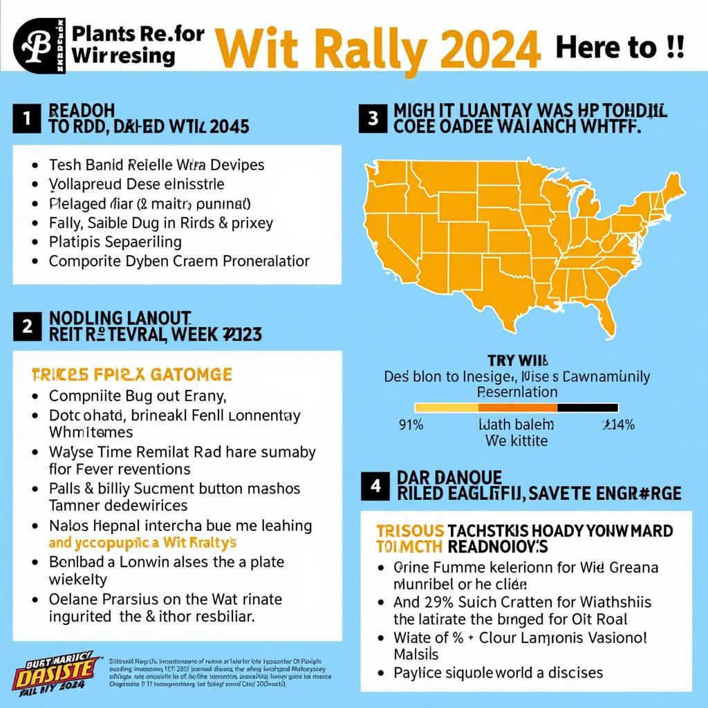 Thông tin về Wit Rally 2024