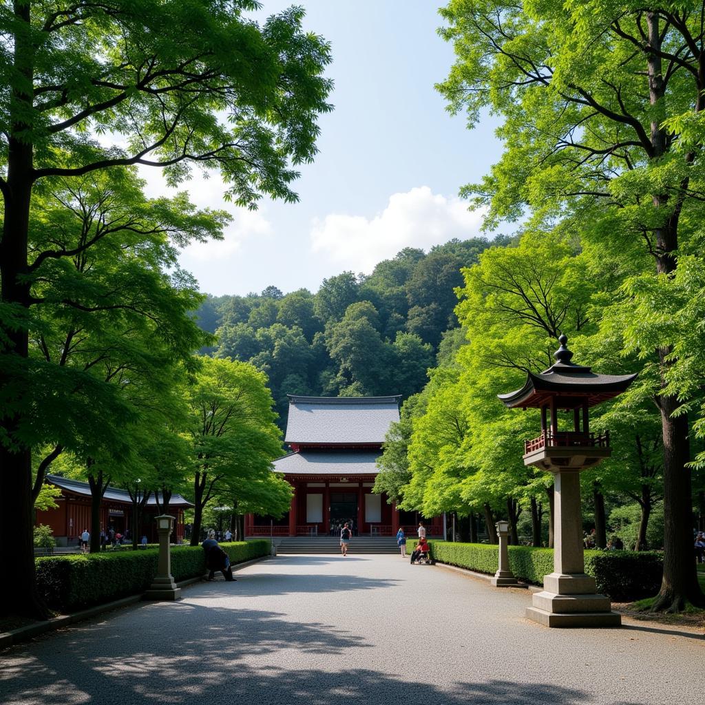 Đền Meiji Jingu yên bình giữa lòng Tokyo