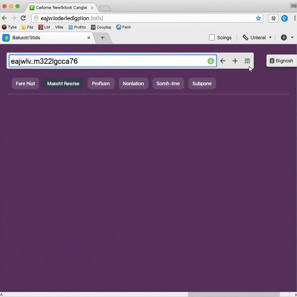 Accessing an Onion Website with Tor Browser