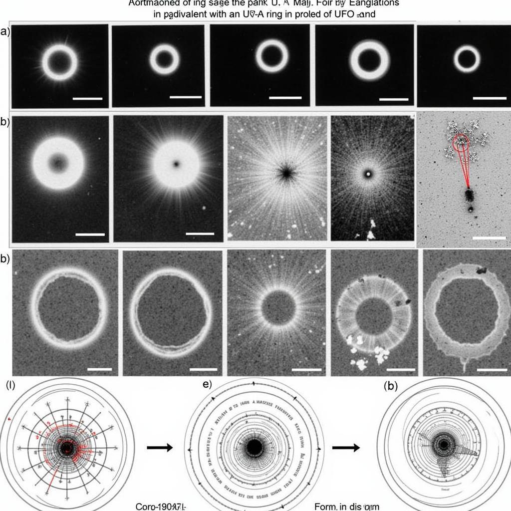 UFO Ring Case Study Analysis