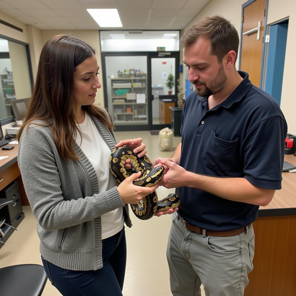 Choosing a Reputable Burmese Python Breeder