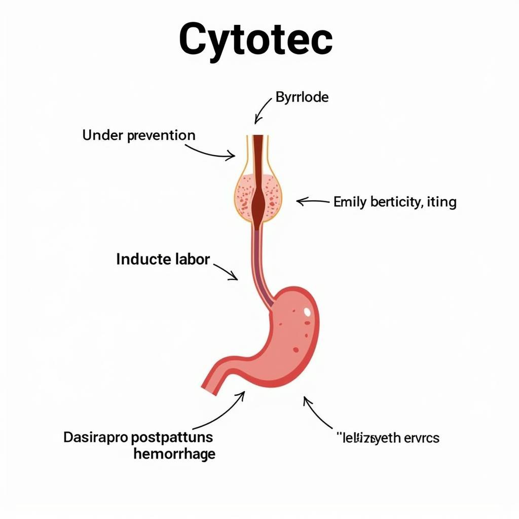 Công dụng của Cytotec