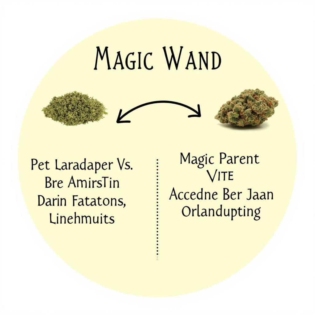 Nguồn gốc của giống Cần sa Magic Wand