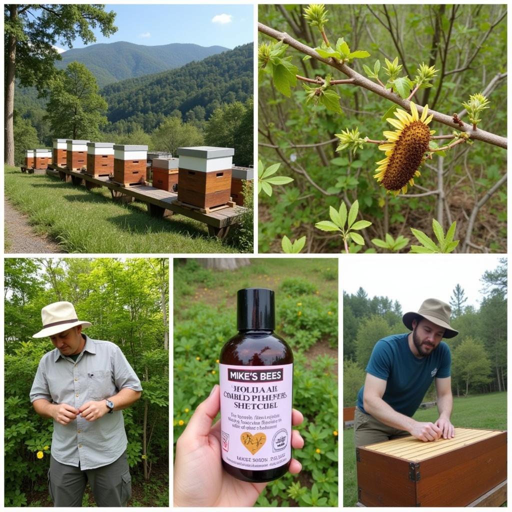 Mike's Bees' Unique Approach to Beekeeping: Nature Knows Best