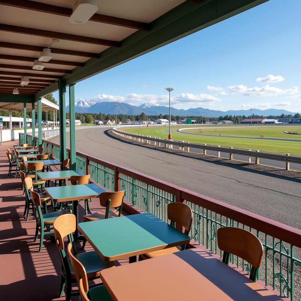 Benson Race Track Amenities