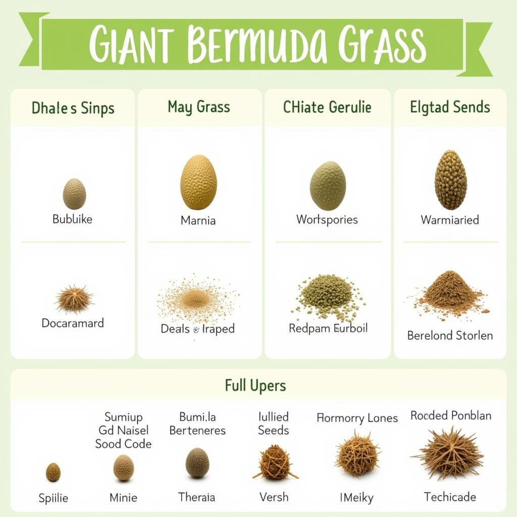 Choosing the Right Giant Bermuda Grass Seed