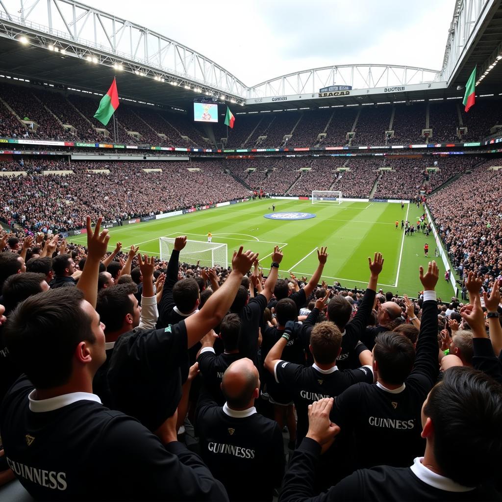 Fans Wearing Guinness Rugby Tops