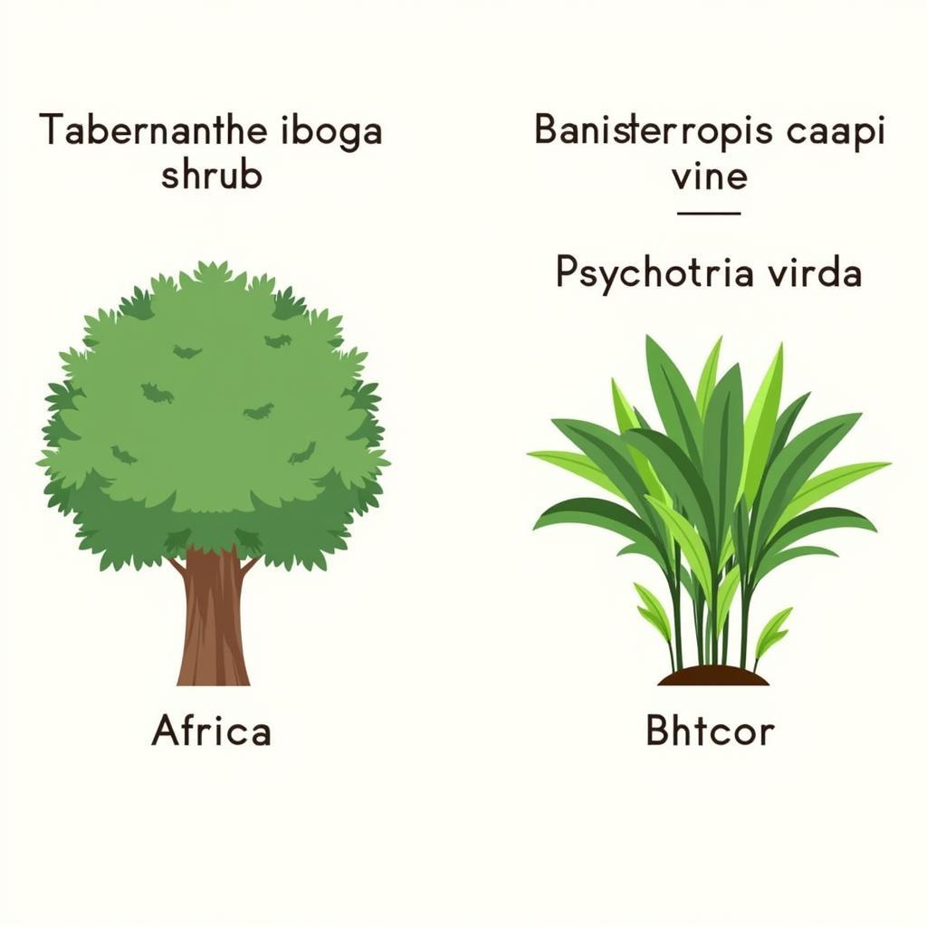 Iboga and Ayahuasca Origins